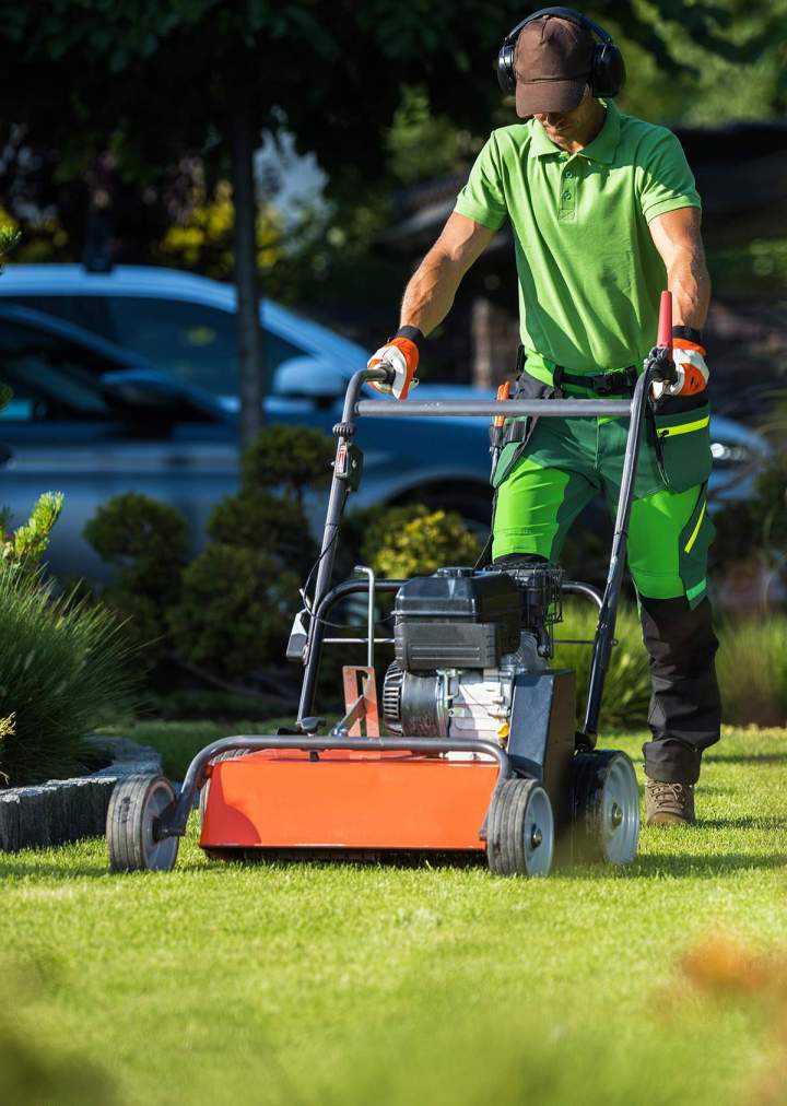 Entretien soigné pour un espace vert agréable toute l'année.